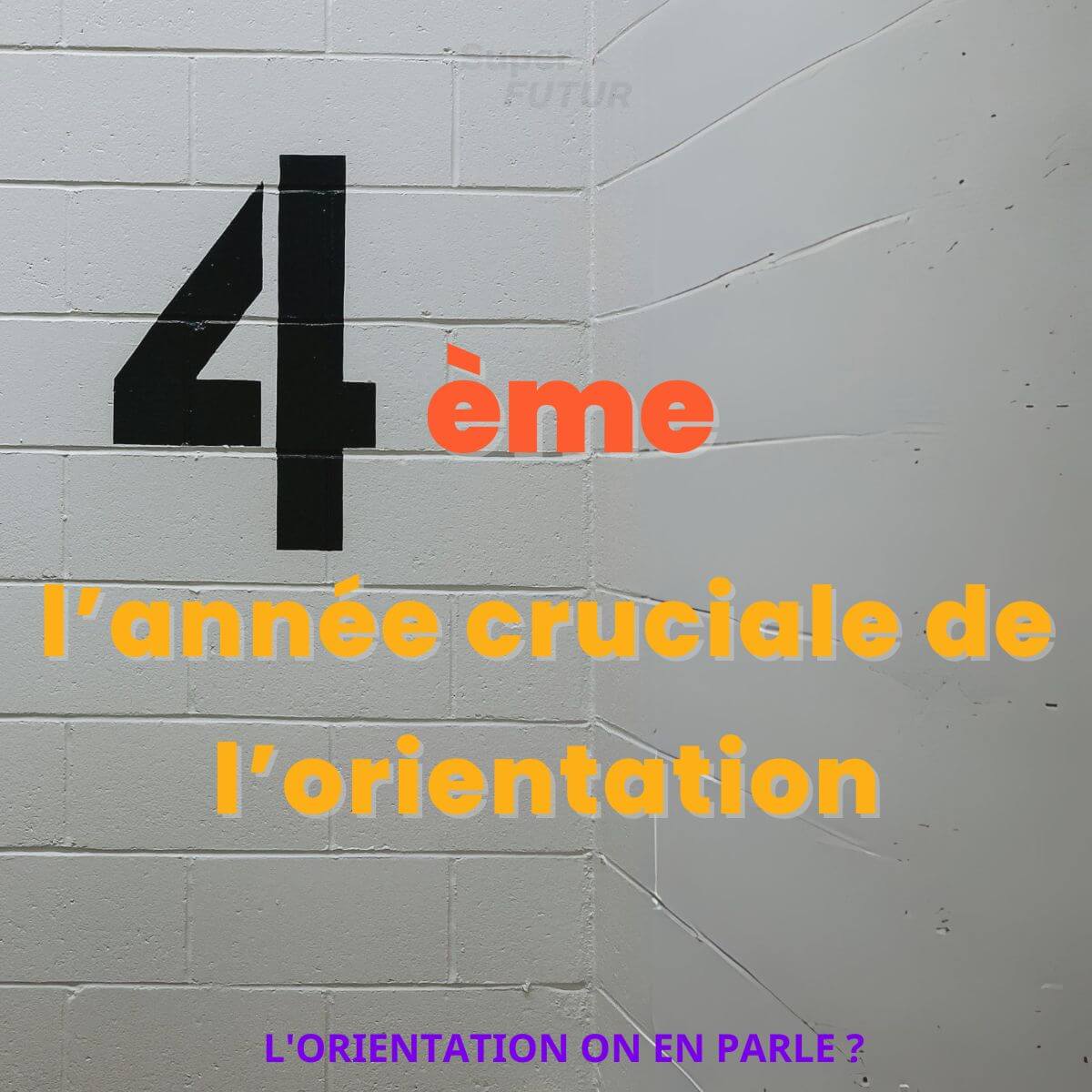 Parler d’orientation dès la 4ème