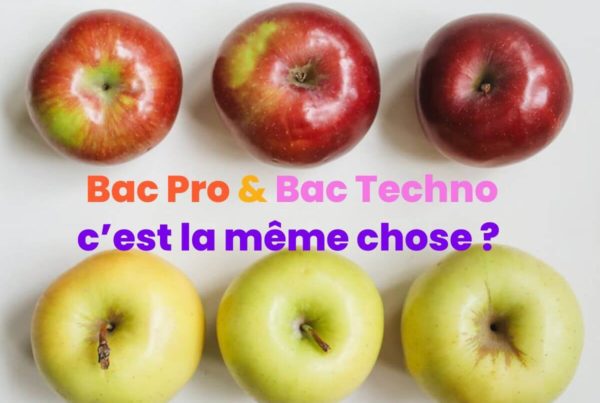 bac pro bac techno